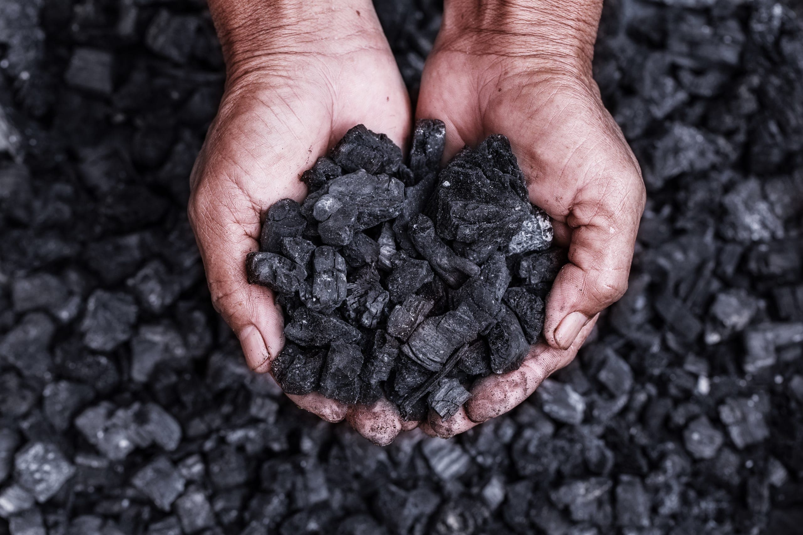 Biochar products